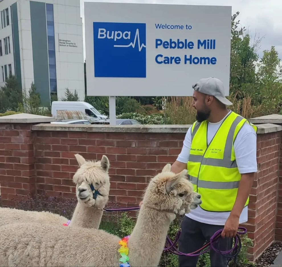 Animal Booking