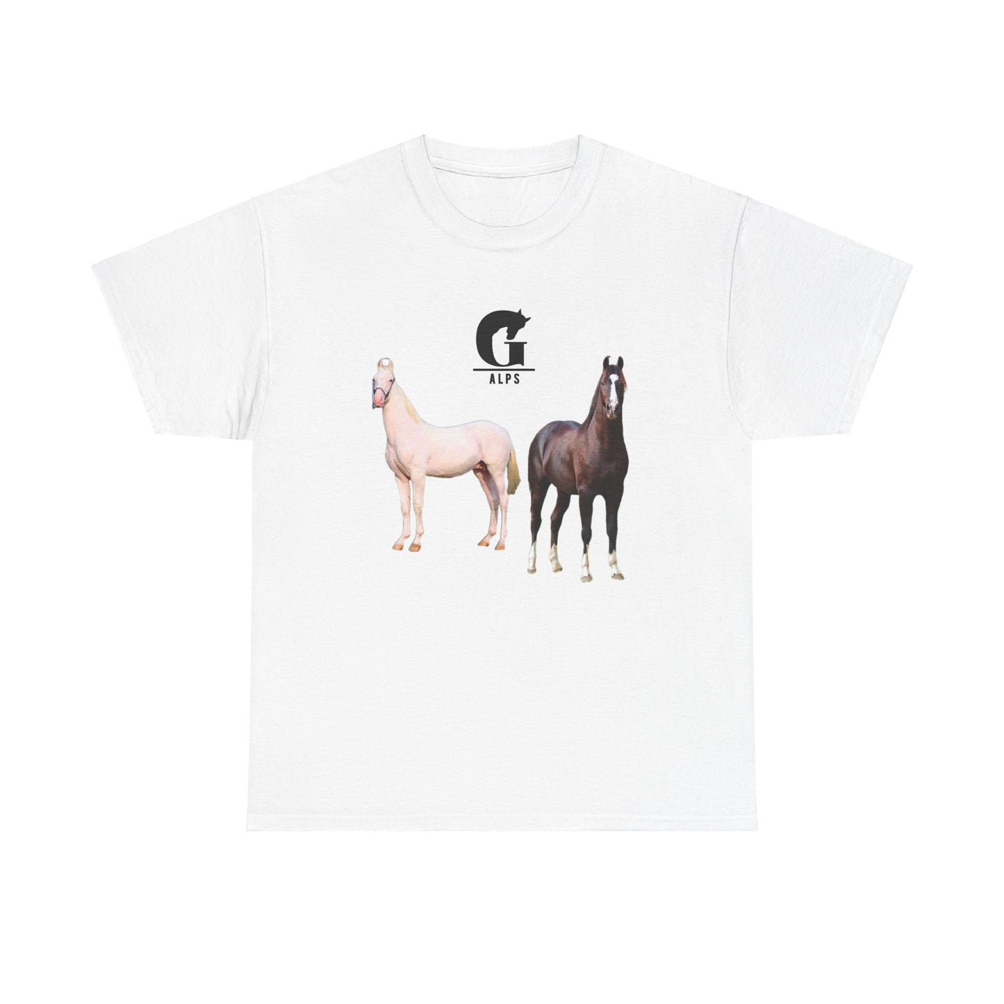 Horse Nukra & Marwari Oversized Tshirt