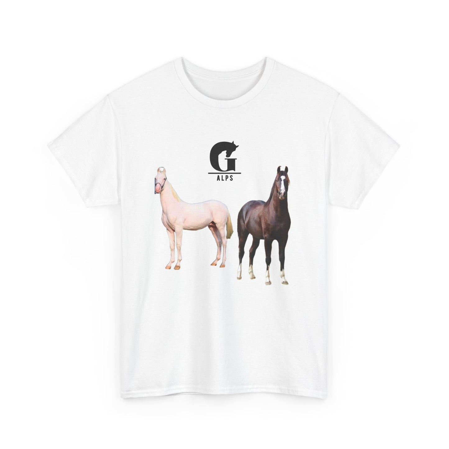 Horse Nukra & Marwari Oversized Tshirt